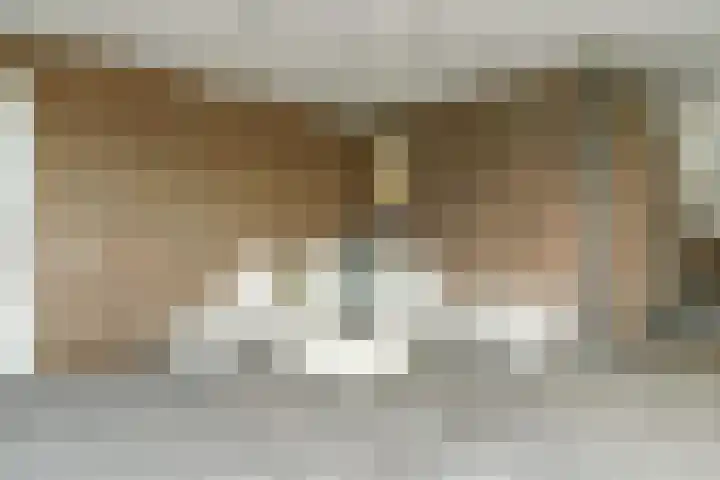 De Kuil 36 Hapert thumbnail 64