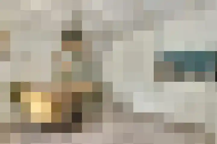 De Kuil 36 Hapert thumbnail 9