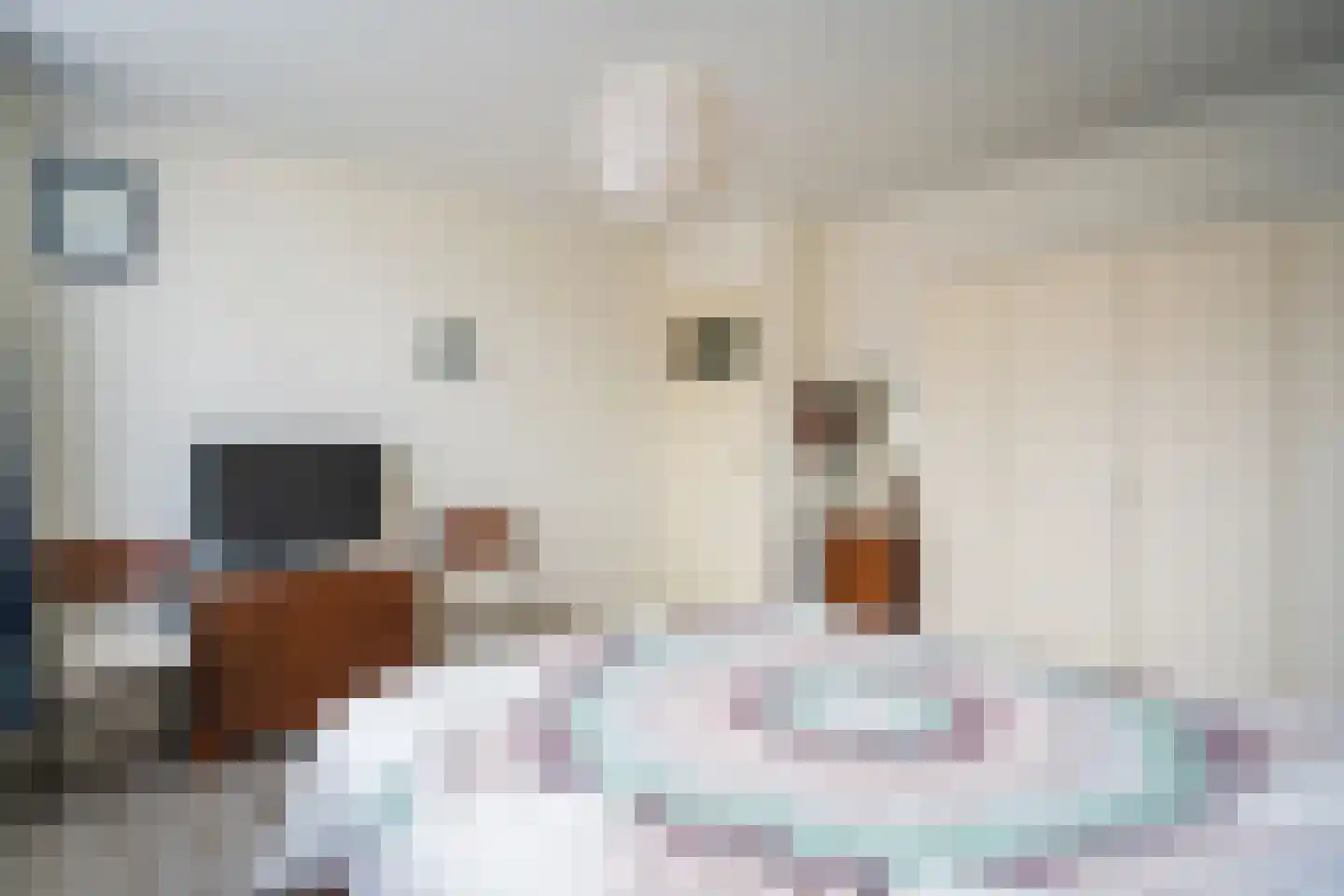 De Kuil 5 Den Hoorn thumbnail 17