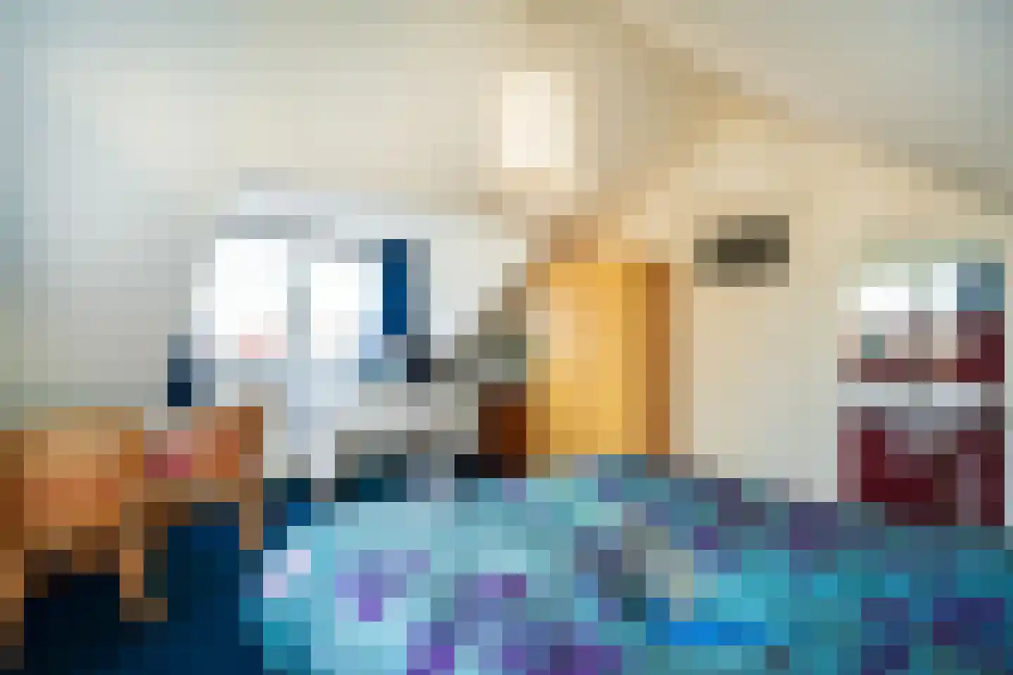 De Kuil 5 Den Hoorn thumbnail 28