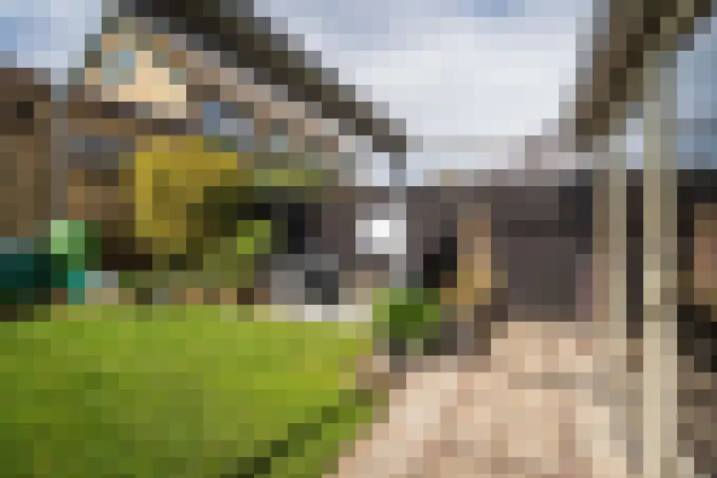 De Kuil 5 Den Hoorn thumbnail 37