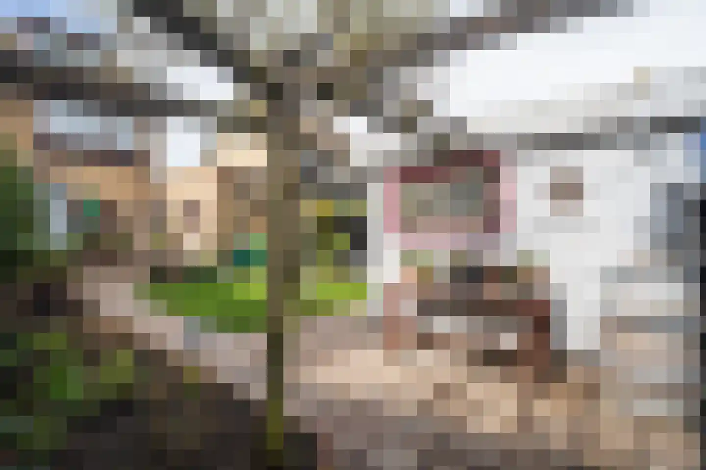 De Kuil 5 Den Hoorn thumbnail 43