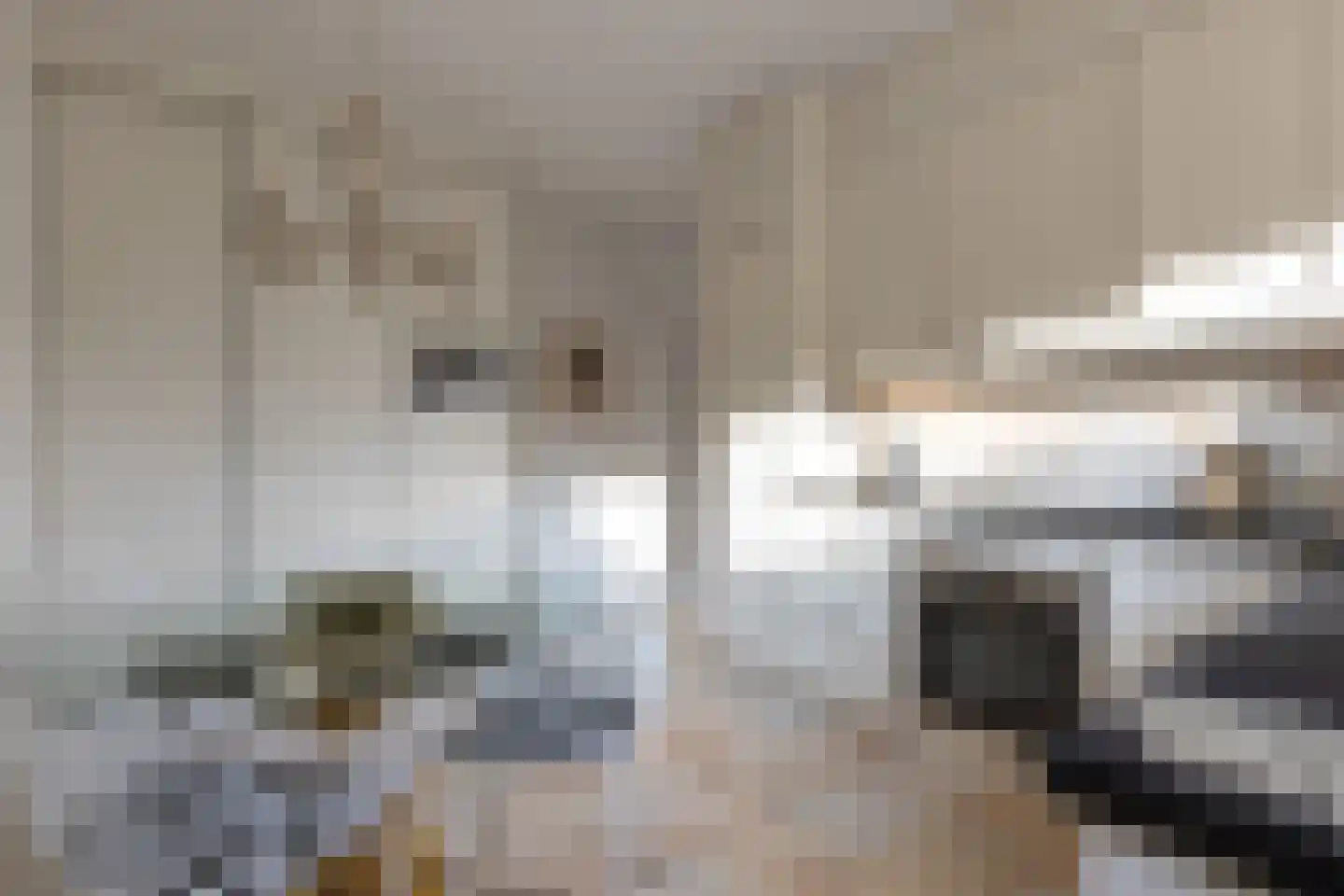 De Kuil 5 Laren thumbnail 21