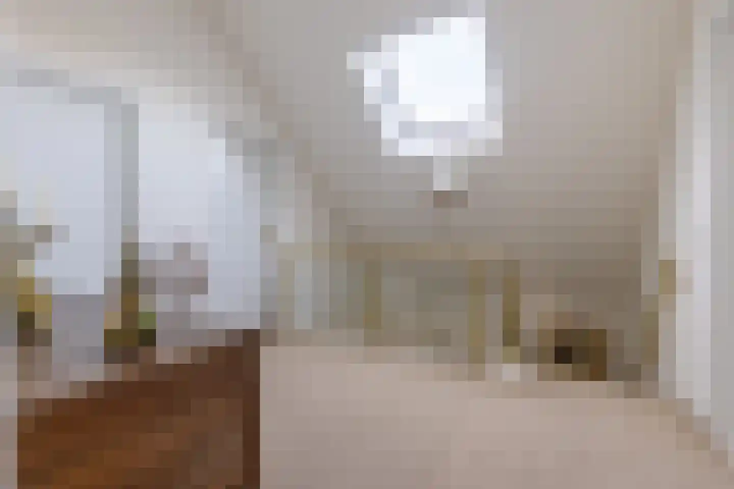 De Kuil 5 Laren thumbnail 27