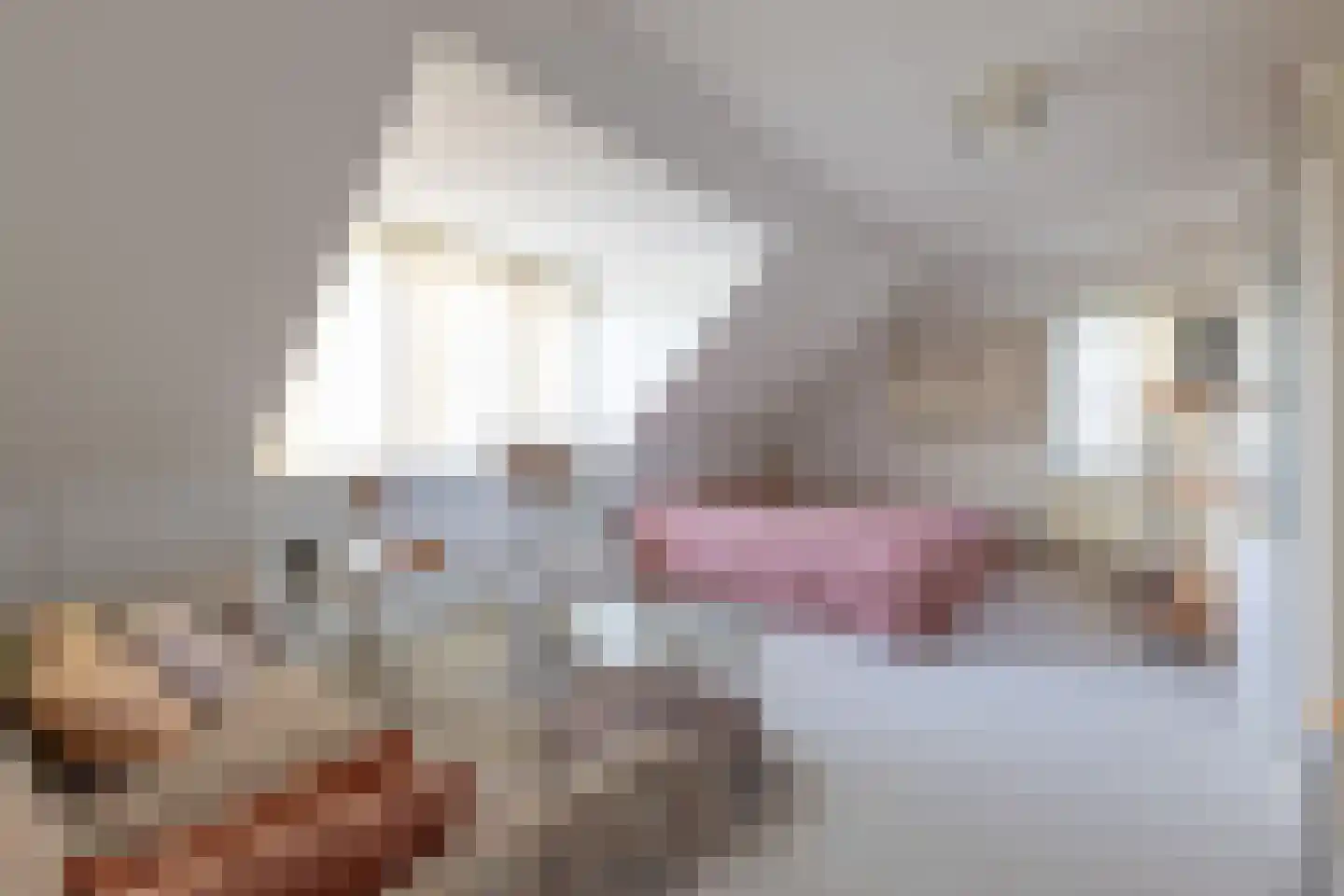 De Kuil 5 Laren thumbnail 32