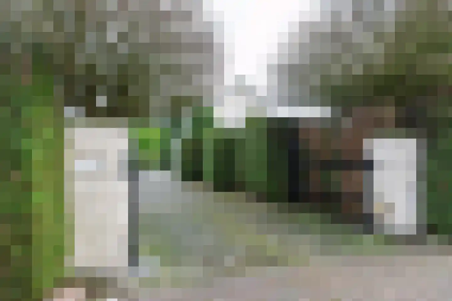 De Kuil 5 Laren thumbnail 38