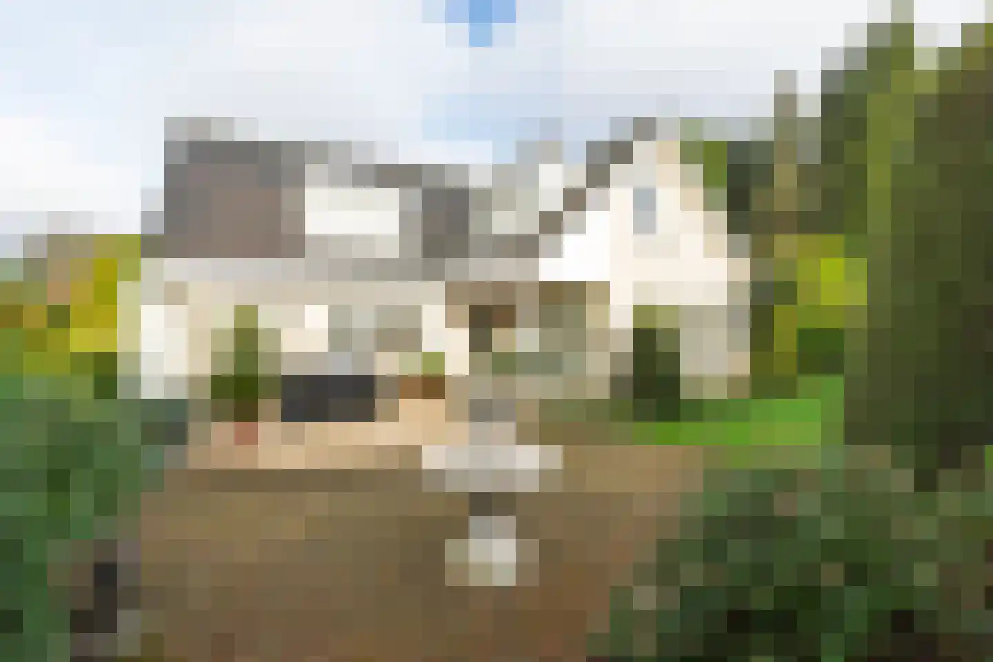 De Kuil 5 Laren thumbnail 43