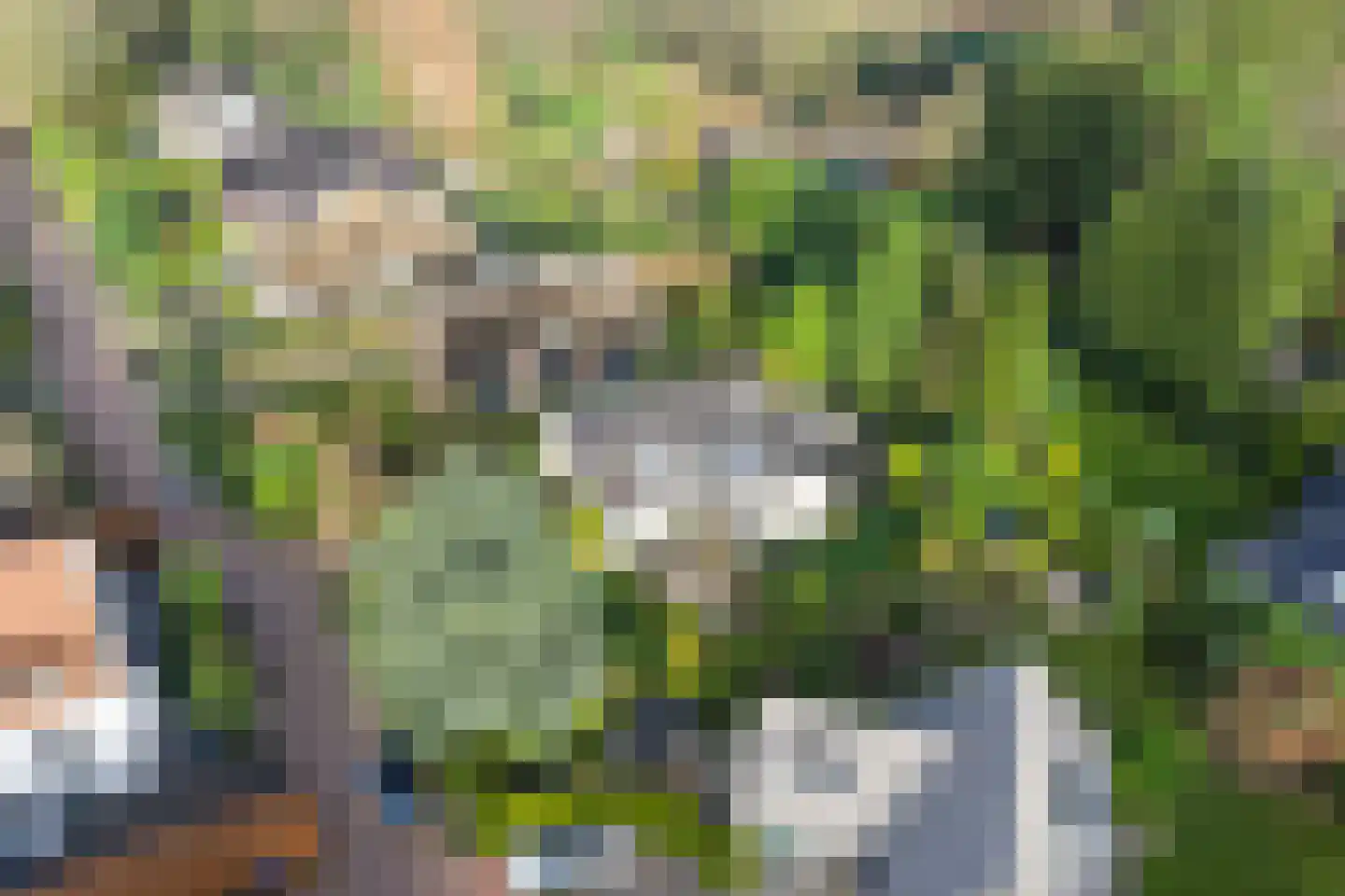 De Kuil 5 Laren thumbnail 49