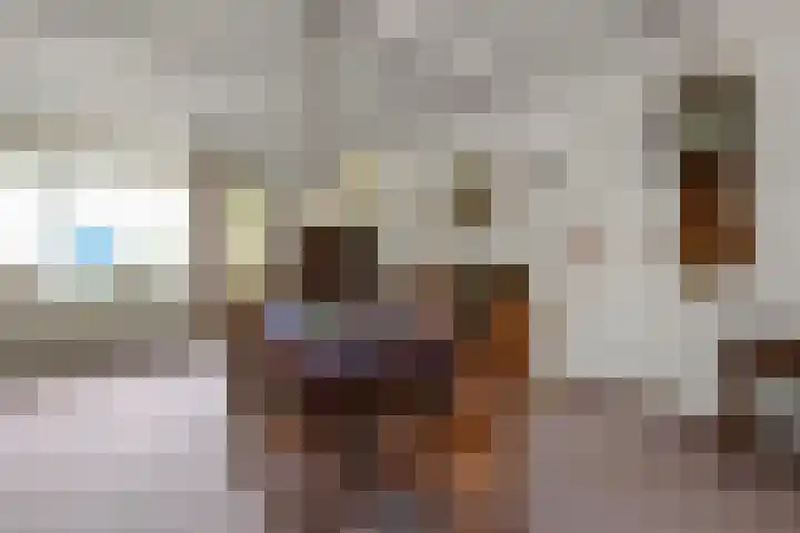 De Kuil 6 Uitgeest thumbnail 10