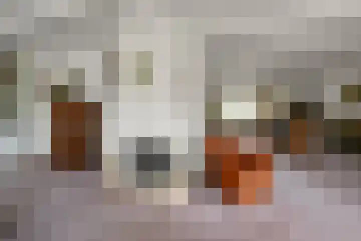 De Kuil 6 Uitgeest thumbnail 17