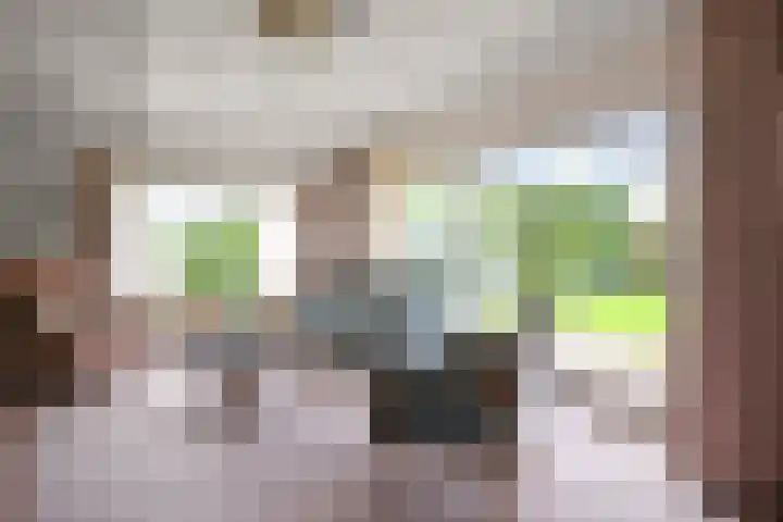 De Kuil 6 Uitgeest thumbnail 19