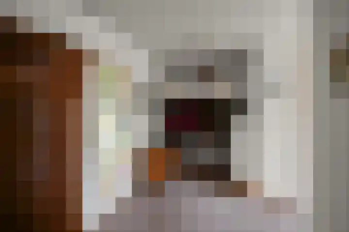 De Kuil 6 Uitgeest thumbnail 22