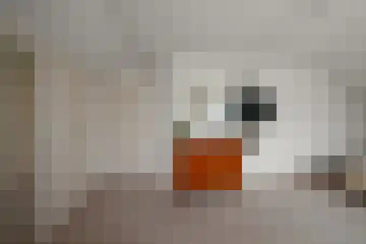 De Kuil 6 Uitgeest thumbnail 33