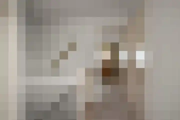 De Kuil 6 Uitgeest thumbnail 39