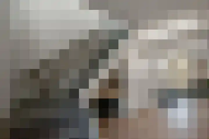 De Kuil 6 Uitgeest thumbnail 46