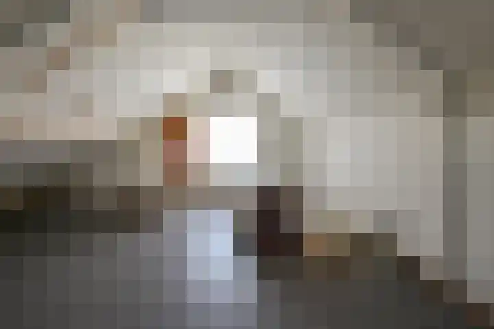 De Kuil 6 Uitgeest thumbnail 48