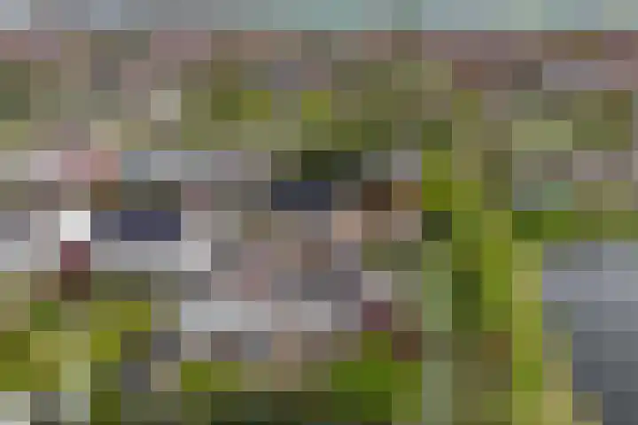 De Kuil 6 Uitgeest thumbnail 5