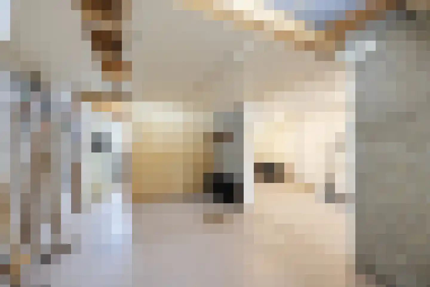 De Kuil 6 Uitgeest thumbnail 52