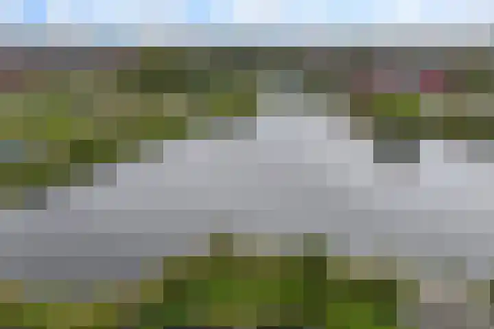 De Kuil 6 Uitgeest thumbnail 53