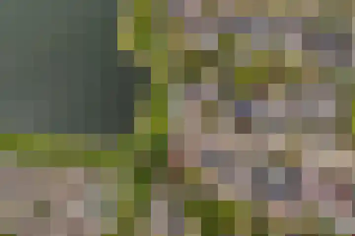De Kuil 6 Uitgeest thumbnail 54