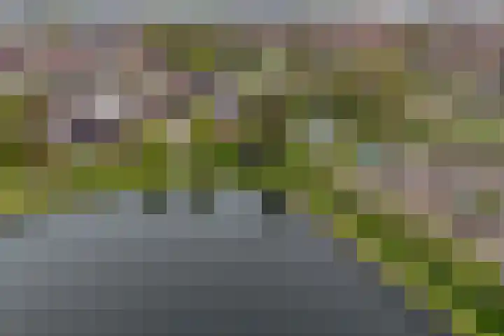 De Kuil 6 Uitgeest thumbnail 55