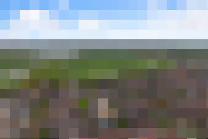 De Kuil 6 Uitgeest thumbnail 56