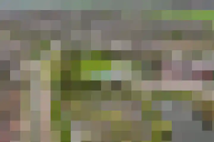 De Kuil 6 Uitgeest thumbnail 57