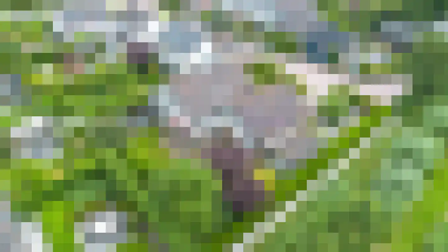 De Kuil 6 Uitgeest thumbnail 57