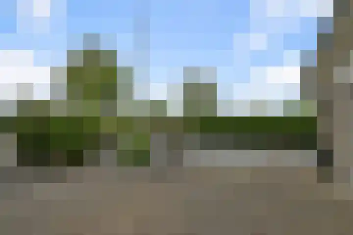 De Kuil 6 Uitgeest thumbnail 61