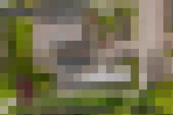 De Kuil 6 Uitgeest thumbnail 64