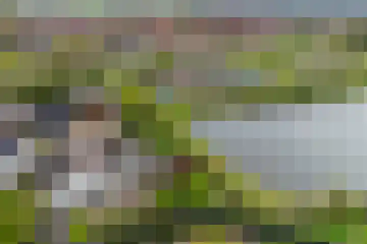 De Kuil 6 Uitgeest thumbnail 8