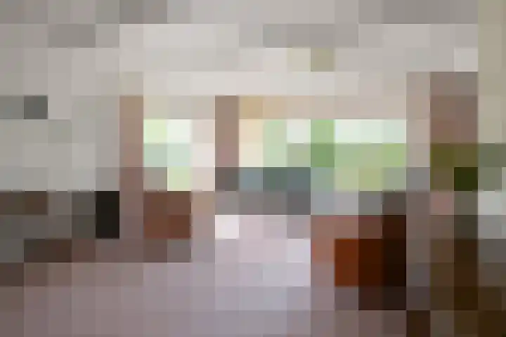 De Kuil 6 Uitgeest thumbnail 9