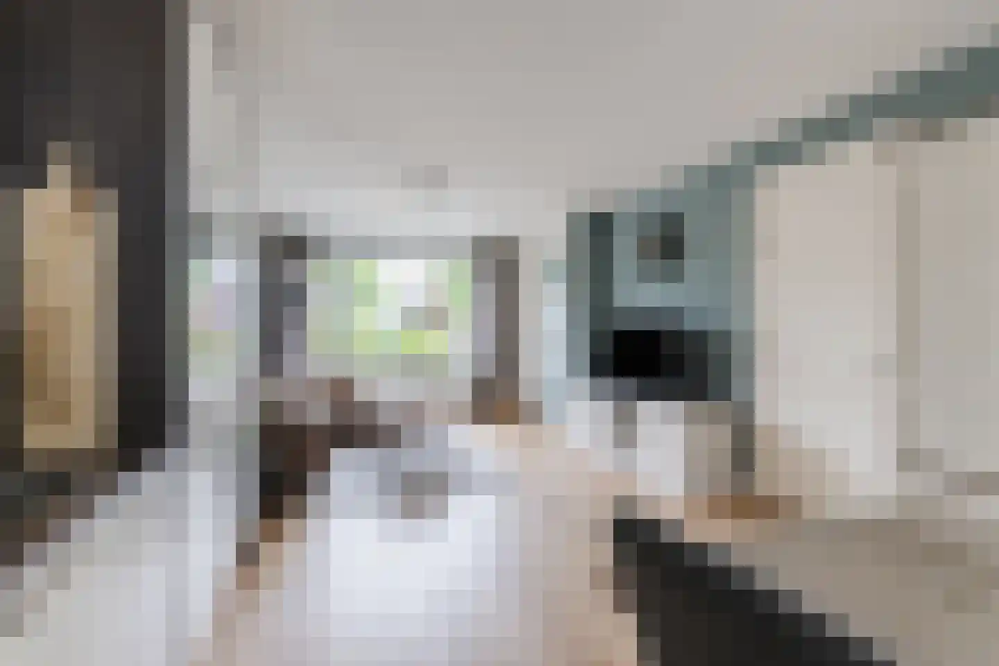 de Kuil 8 Reusel thumbnail 11