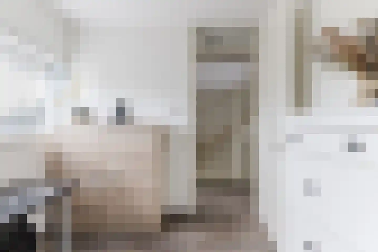de Kuil 8 Reusel thumbnail 18
