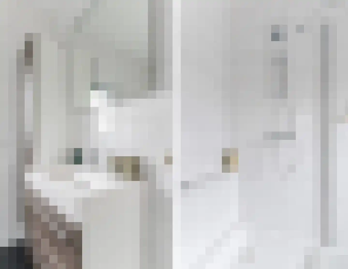 de Kuil 8 Reusel thumbnail 21