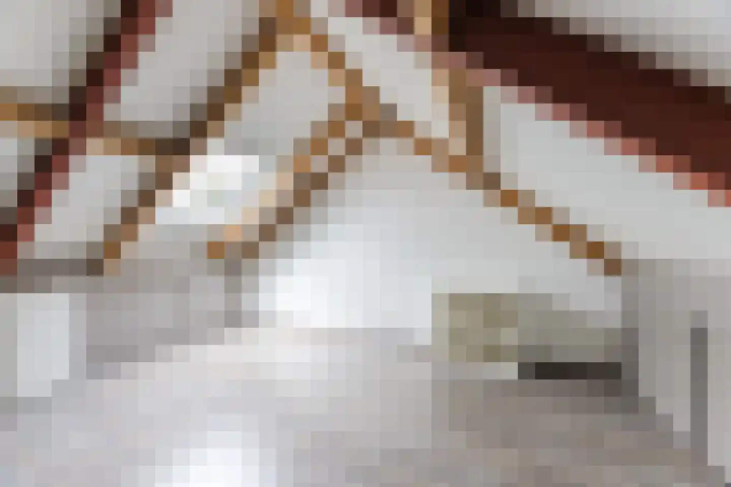 de Kuil 8 Reusel thumbnail 22
