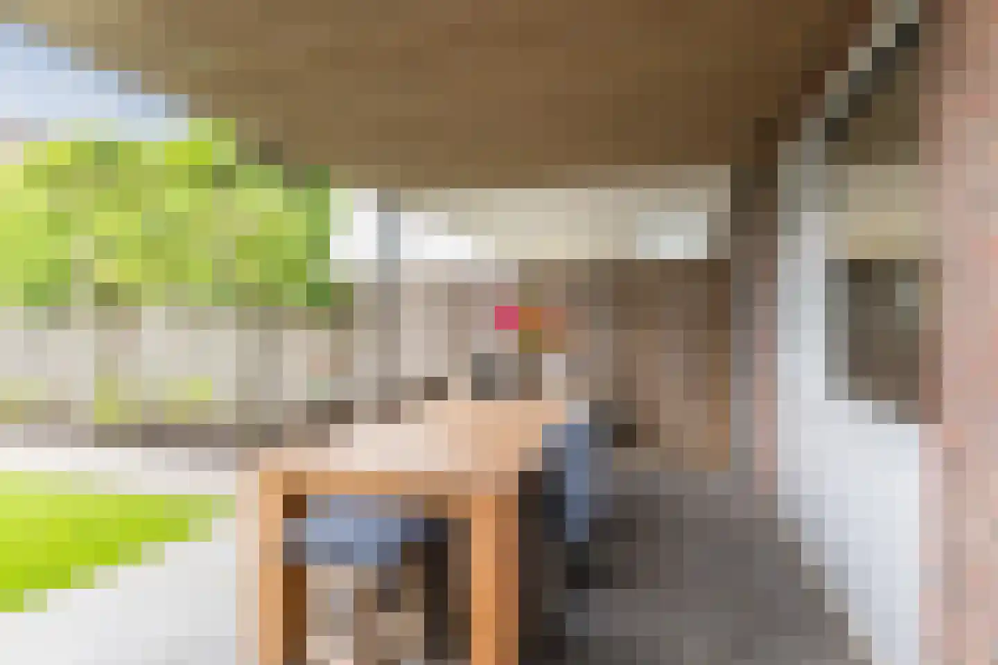 de Kuil 8 Reusel thumbnail 25