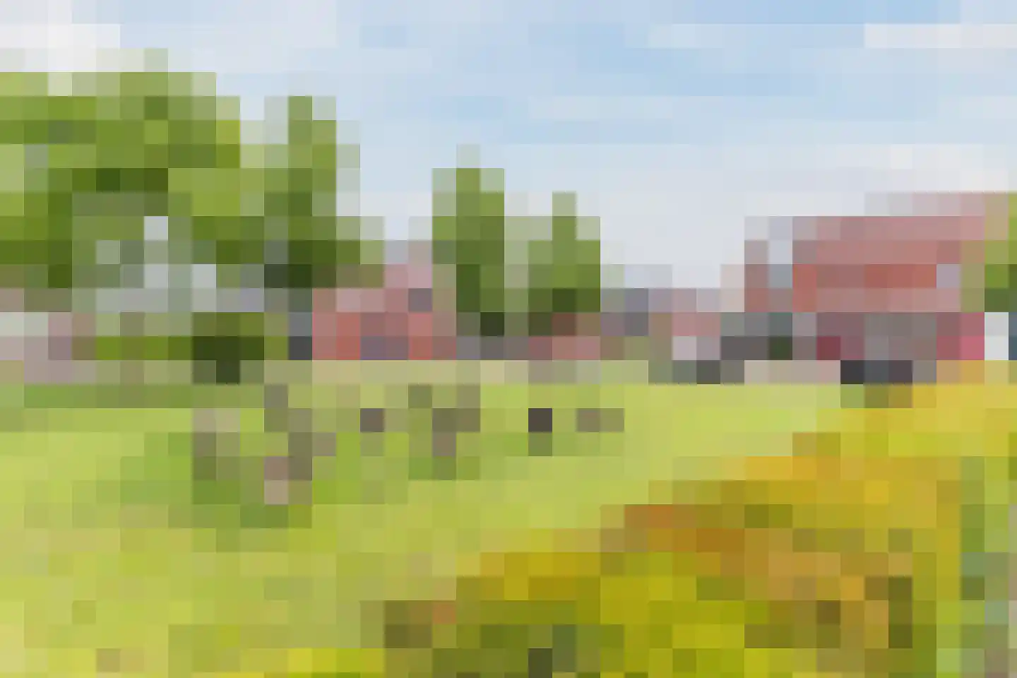 de Kuil 8 Reusel thumbnail 31