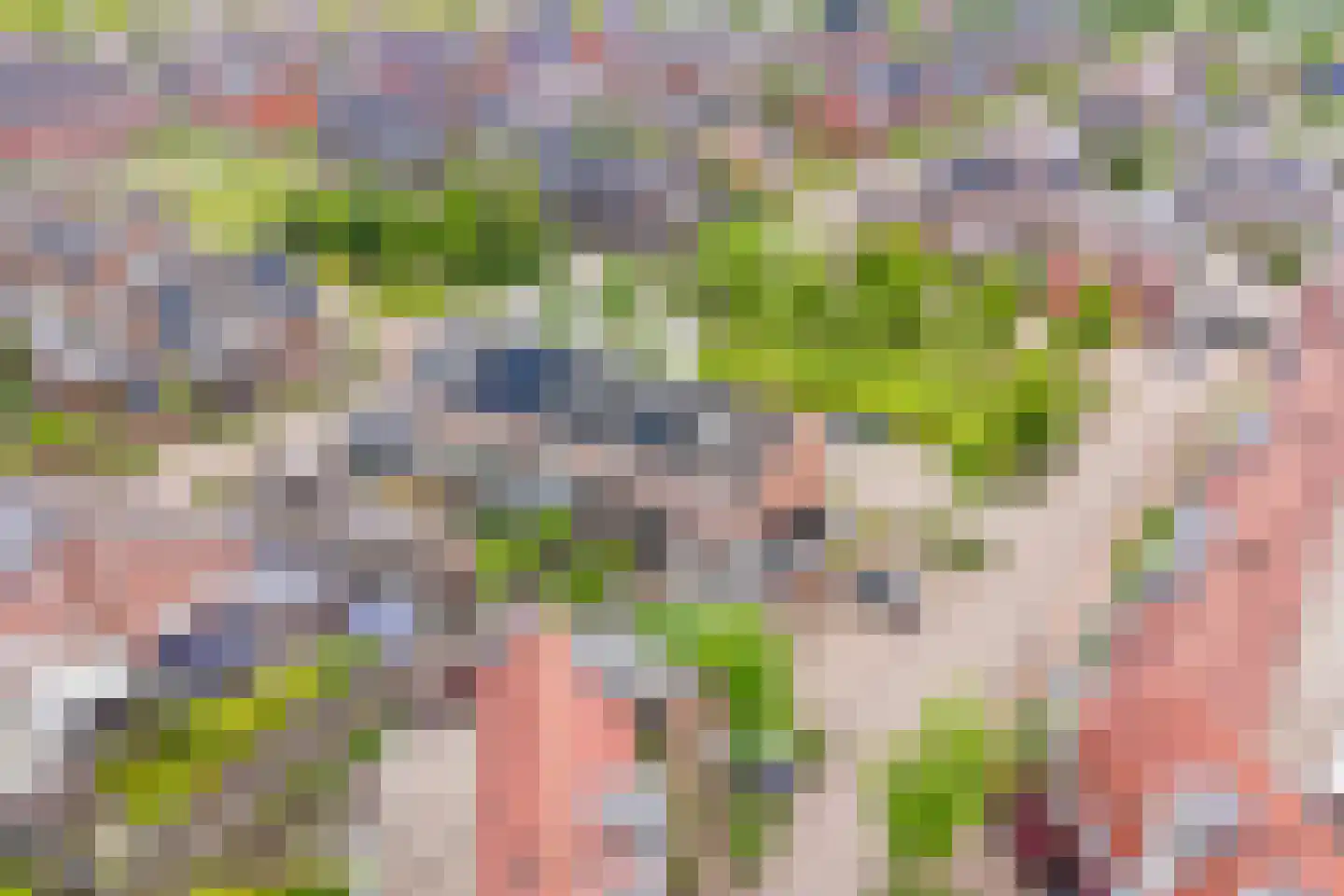 de Kuil 8 Reusel thumbnail 33