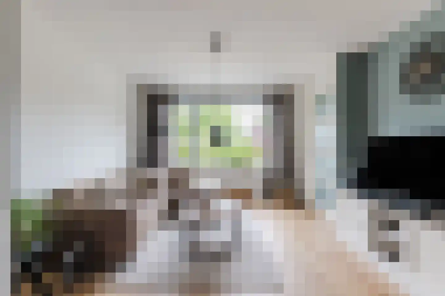 de Kuil 8 Reusel thumbnail 6