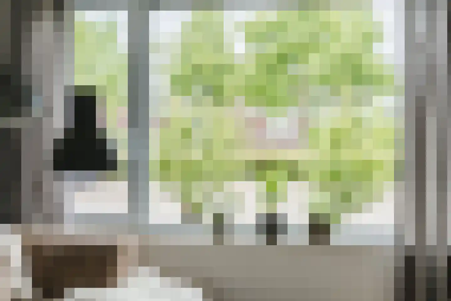 de Kuil 8 Reusel thumbnail 7