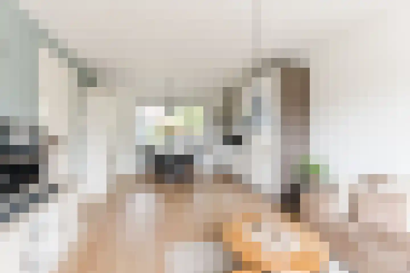de Kuil 8 Reusel thumbnail 8