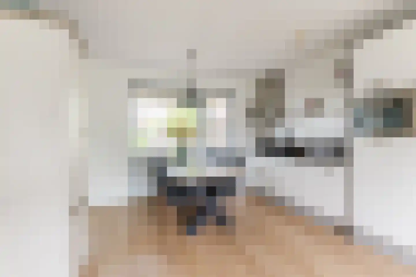 de Kuil 8 Reusel thumbnail 9