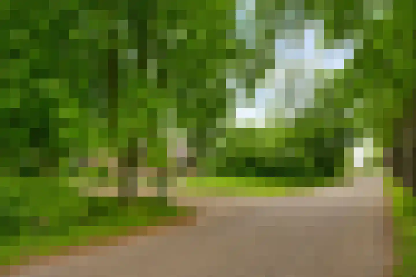de Kuilen 6 Son en Breugel thumbnail 11