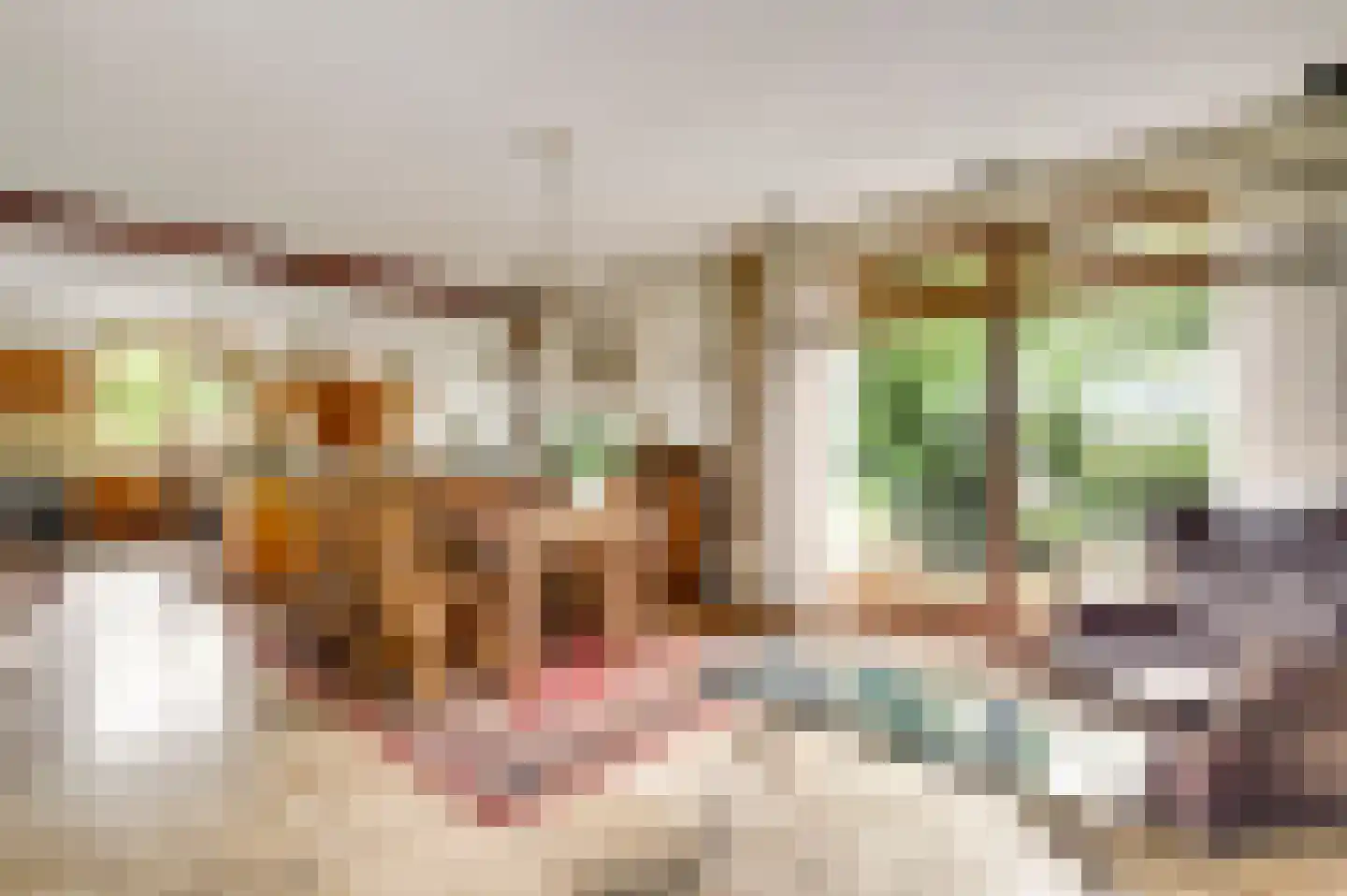 de Kuilen 6 Son en Breugel thumbnail 18