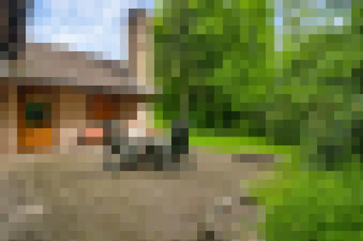 de Kuilen 6 Son en Breugel thumbnail 34