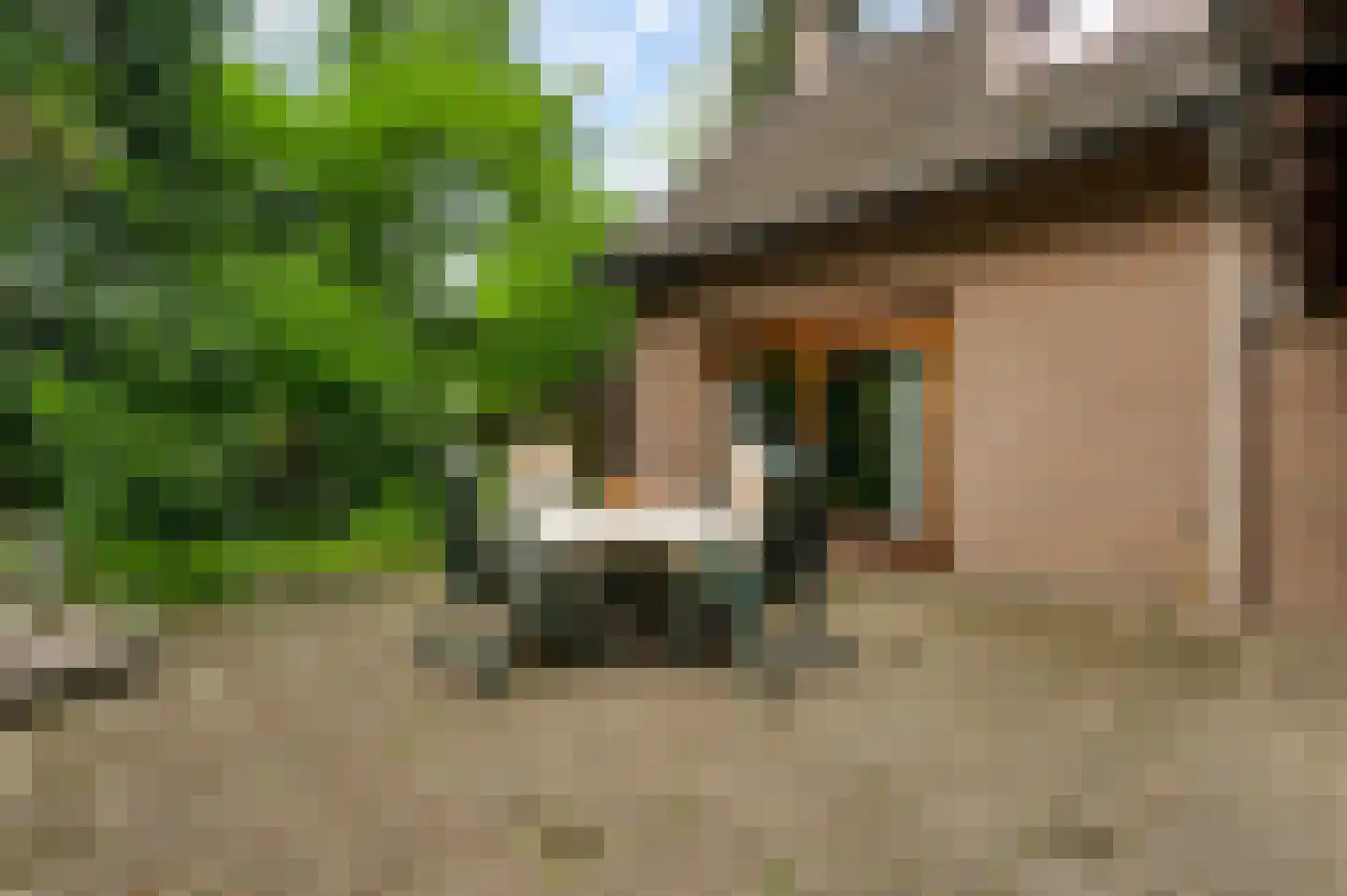 de Kuilen 6 Son en Breugel thumbnail 35