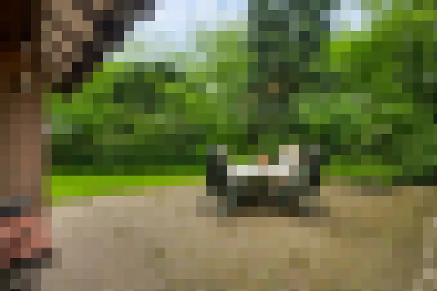 de Kuilen 6 Son en Breugel thumbnail 36