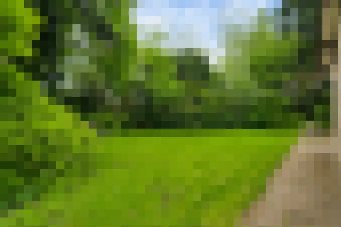 de Kuilen 6 Son en Breugel thumbnail 6