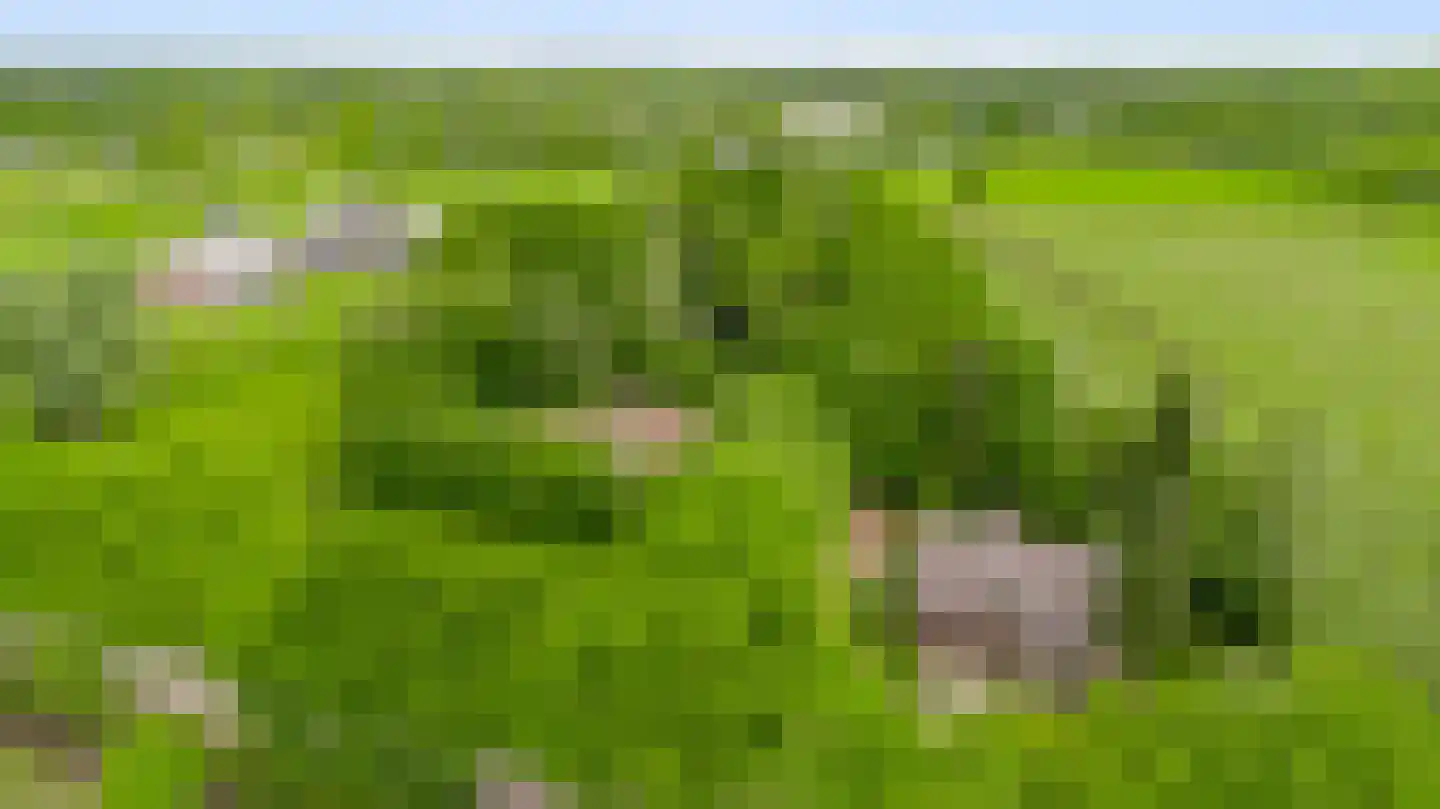 de Kuilen 6 Son en Breugel thumbnail 9